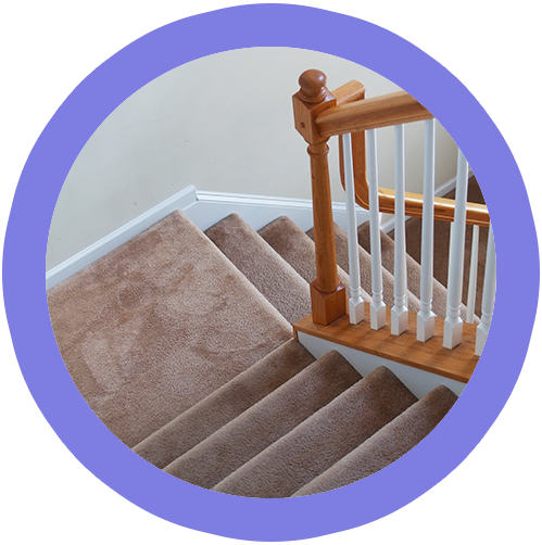 Professional Carpet Cleaning Service